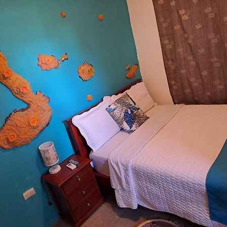 Suite Galarous Island Puerto Ayora  Dış mekan fotoğraf