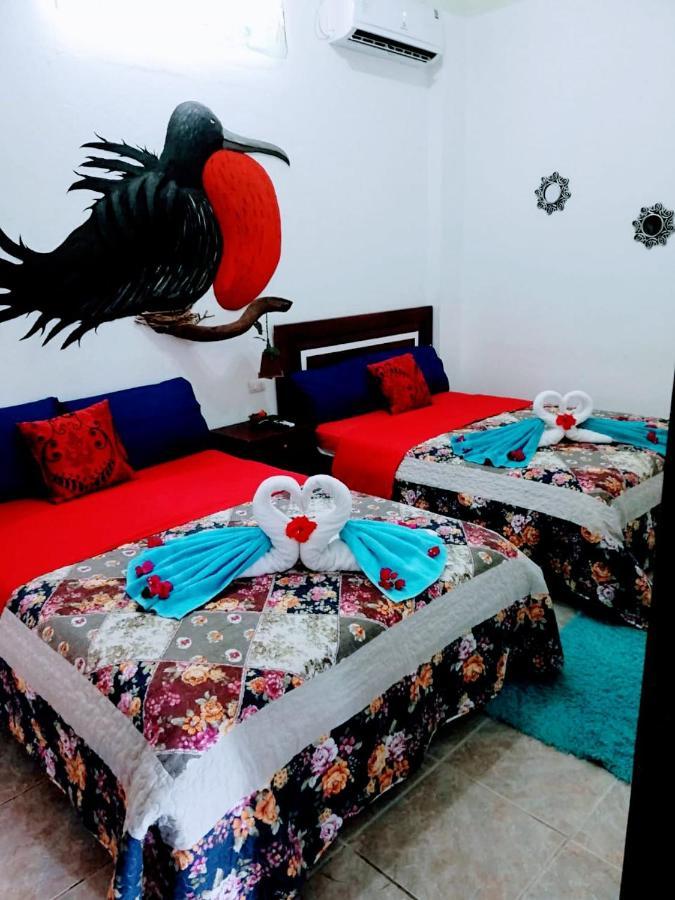 Suite Galarous Island Puerto Ayora  Dış mekan fotoğraf